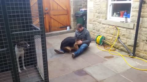 German Shepherd Cries Out In Happiness After Months Apart From Owner