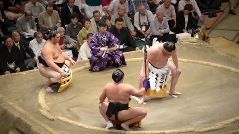 Sumo Wrestling, Tokyo, Japan, 2013