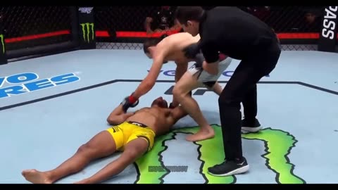 THE BEST UFC KNOCKOUTS OF 2023