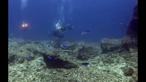 Epic Dive on Carpenter Reef 🤗