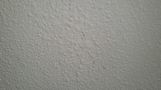 Termite damage at living room ceiling