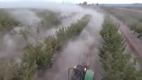 Hazelnut harvesting machine - Hazelnut production process in factory - How nutella is made