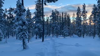 The Morning Snow – Central Oregon – Swampy Lakes Sno-Park – 4K