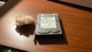 Funeral for my hard drive