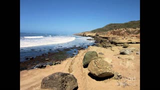 POINT LOMA CALIF #SHORTS