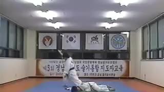 Hapkido