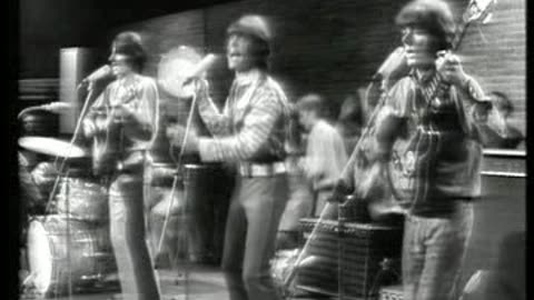 Hollies, The Lords, Spencer Davis Group, The Birds & Bees - Beat Club Music Videos 1966