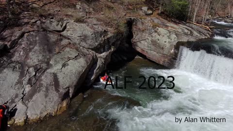 Baby Falls Tellico ALF 2023