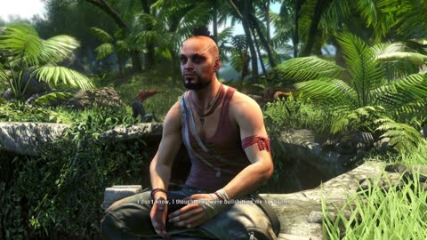 Far Cry - Vaas' definition of Insaity