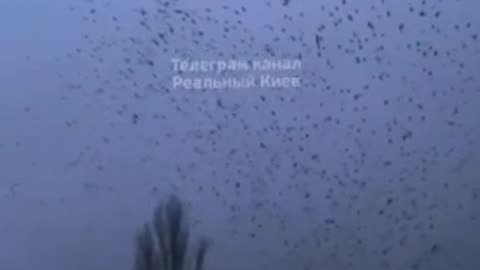 Thousands of Crows in the Skies Above Kyiv, Ukraine Harbingers of Death