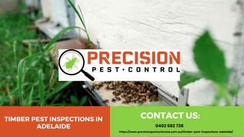 Ensuring Property Integrity: Timber Pest Inspections in Adelaide