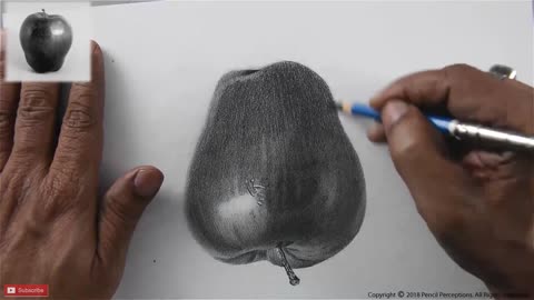 Realistic Apple Drawing Tutorial | Best Step-by-Step Pencil Guide