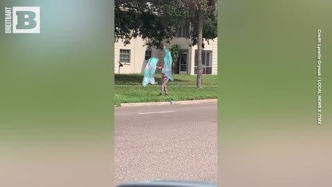 Woman Entertains Sandbag Car Line in St. Pete Ahead of Hurricane Idalia