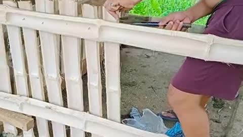 Making fence/house for a pig: Filipino way