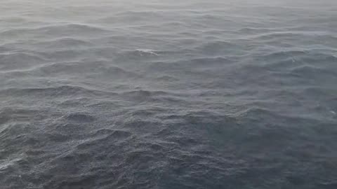 rain in caribbean sea