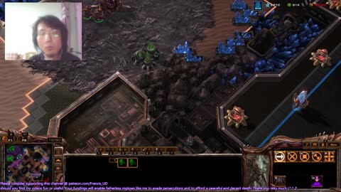 starcraft2 my zerg got defeated by a turtling protoss, shame on me..