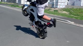 2015 Honda Grom Wheelie