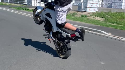 2015 Honda Grom Wheelie