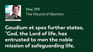 Day 295: The Wound of Abortion — The Catechism in a Year (with Fr. Mike Schmitz)
