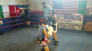 Sparring again