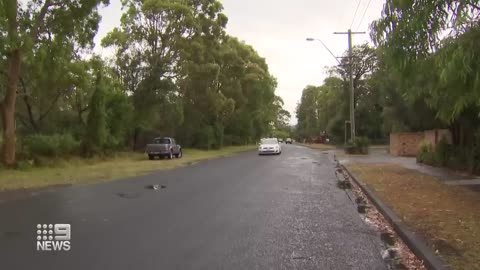 Man dies in alleged machete attack north of Sydney | 9 News Australia