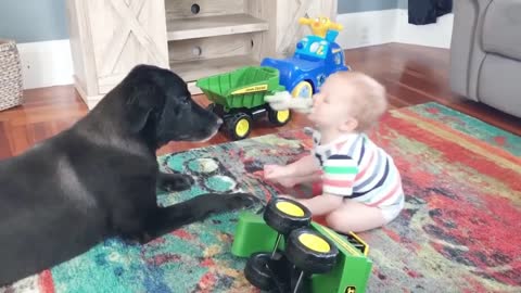 Baby Plays Doll with Dog