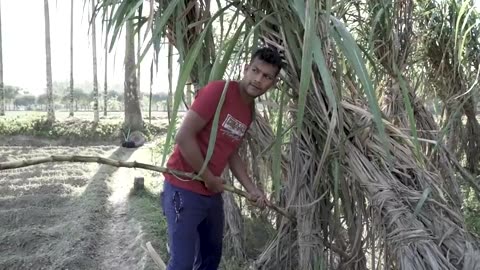 AcTioN FunnY viDeo wiTh bOys gRoup