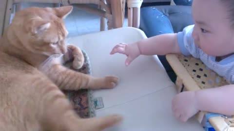 Baby cry when the cat starts to leave