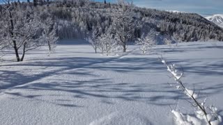 feb 23rd first run and the struggles of low angle on a deep powder day