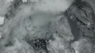 Winter Wonderland Ice plunge/ ice bath