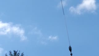 Tree trimming in the mountains