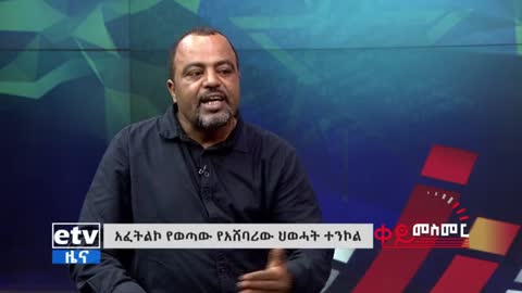 አፈትልኮ የወጣው የህወሓት ሰነድ ምን ይነግረናል?"