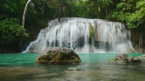 Waterfall in the Rainforest Jungle - mindfulness, ambience, relaxing, meditation, nature