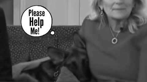 Joe Biden’s dog has a message for America.