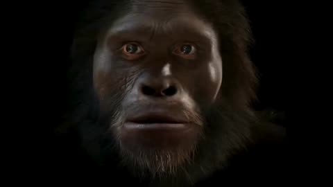 6 million years of human evolution Finally Revealed