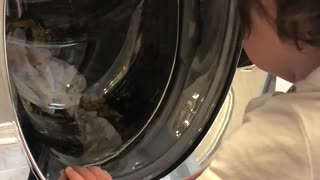 Baby finds washing machine so fascinating!