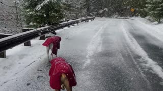 Harvey and Clyde in the snow