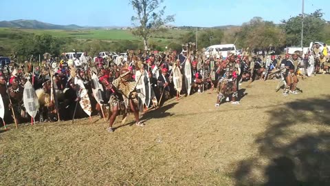 Zulu warriors