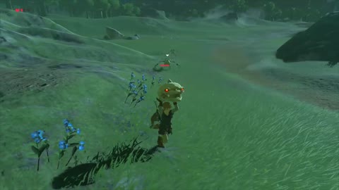 THE LEGEND OF ZELDA BREATH OF THE WILD FUNNY MOMENT #I STOLE HIS HEAD🤣🤣🤣😅😅😅