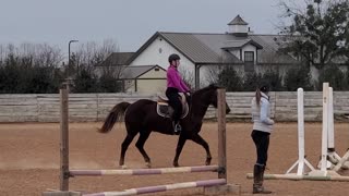 A little jumping at my horse lesson
