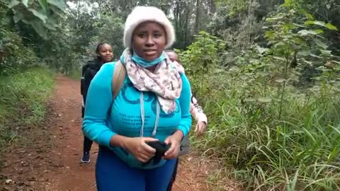 Karura forest