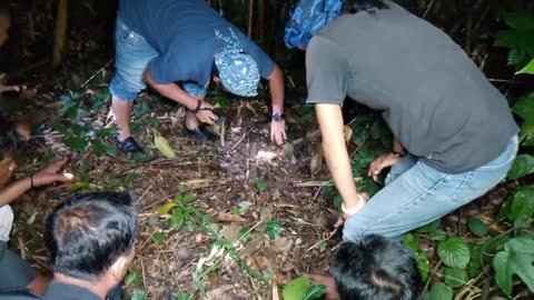 penarikanbendapusaka makom keramat Raja Rante besi mulang Maya kecamatan angras pesisir barat