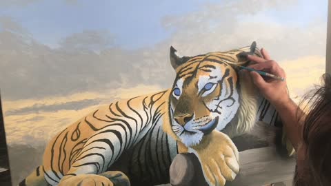 Tiger and Clouds