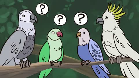 Why can parrots talk- - Grace Smith-Vidaurre and Tim Wrightp7