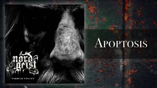 NORD GEIST - Apoptosis