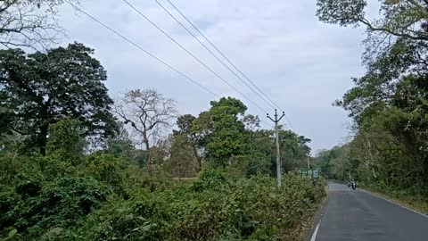 Alipurduar forest very interesting