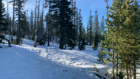 Exploring the Snowy Alpine Forest – Upper Three Creek Lake Sno-Park – Central Oregon – 4K