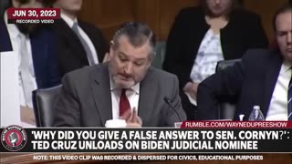 Ted Cruz Grills Biden Judicial Nominee: "Why the False Answer, Senator Cornyn?"