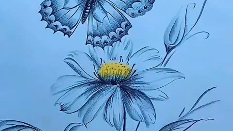 Butterfly Drawing