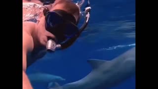 Swimming with Dolphins 🥰🥰🥰